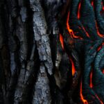 Securitate cibernetică pentru IMM-uri: checklist minim 2025